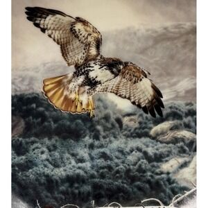 Red Tailed Hawk 1991 W S George Fine China Charles Frace Soaring Majesty w COA